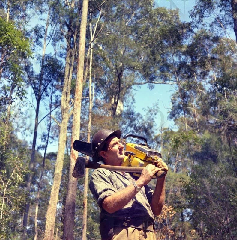 Forestery 1966 D52-54