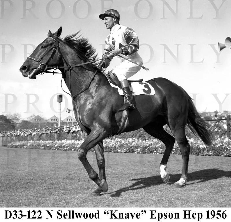 Espon Hcp 1956 winner Knave D33-122.jpg