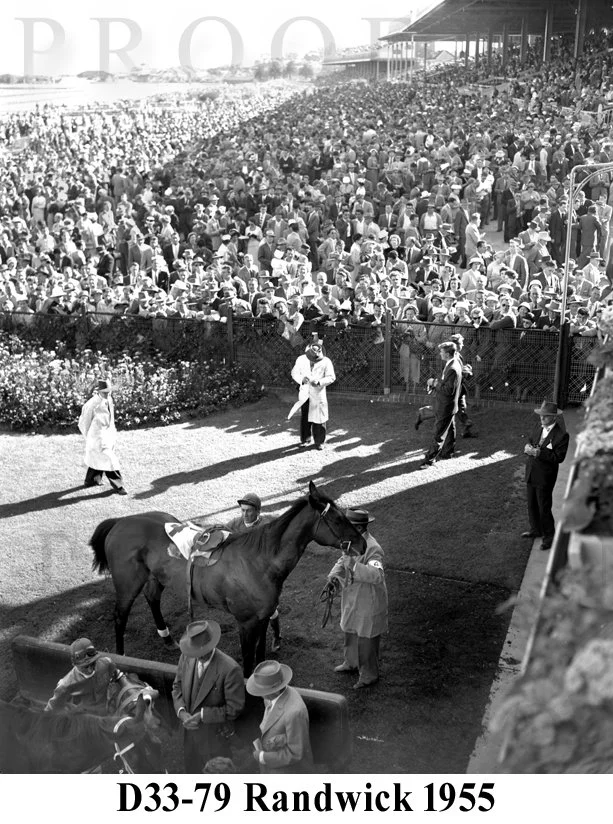 Hill Tommy 1970 D33-79.jpg