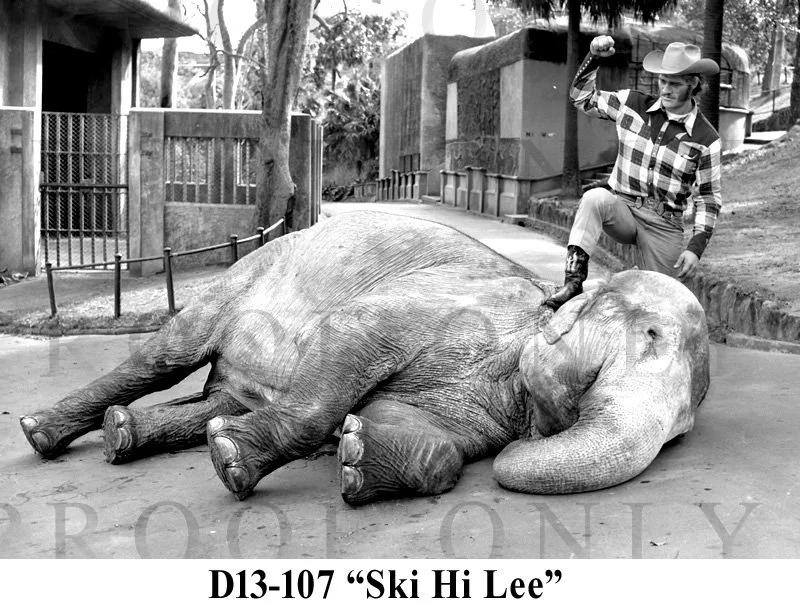 D13-107 Ski Ni Lee.jpg