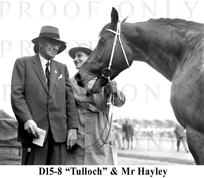 D15- 8 Mr. Haley & Tulloch.jpg