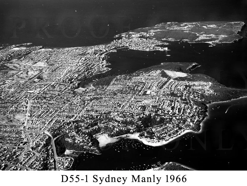 D66-1 Manly 1966.jpg