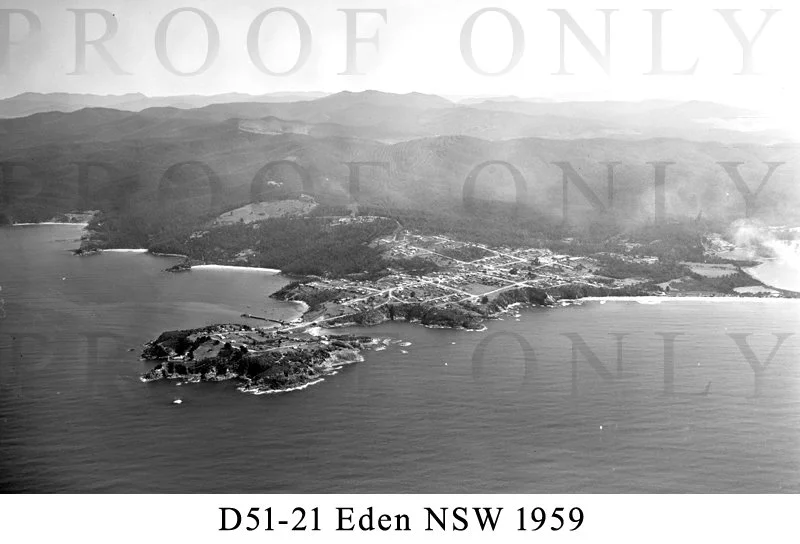 D51-21 Eden NSW 1959.jpg