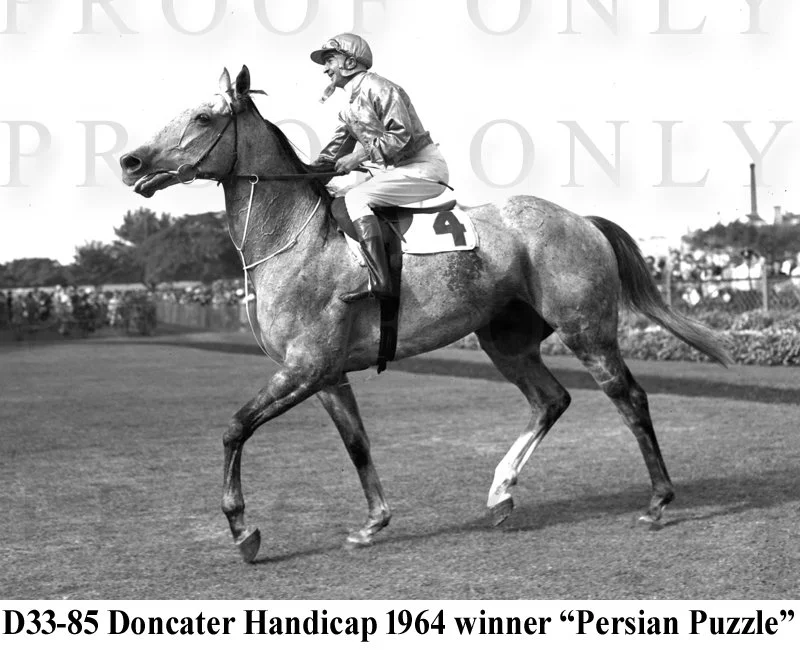 Persian Puzzle D33-85.jpg