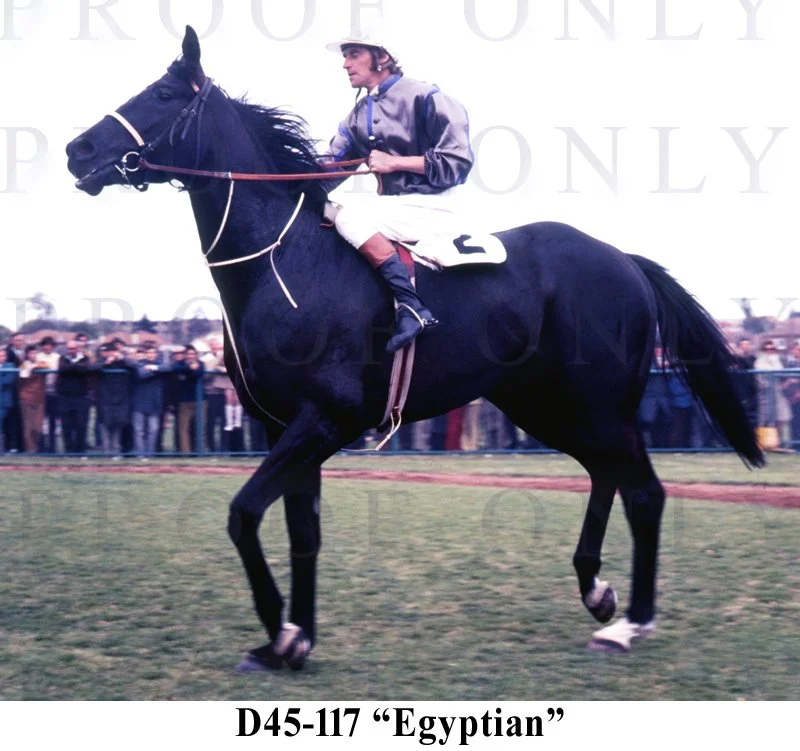 Egyptian D45-117.jpg