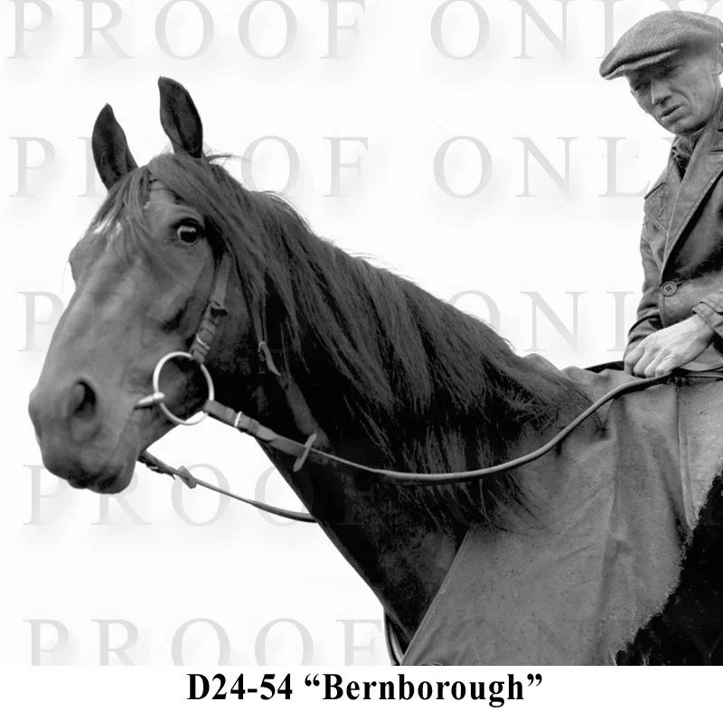 D24-54 Bernborough.jpg