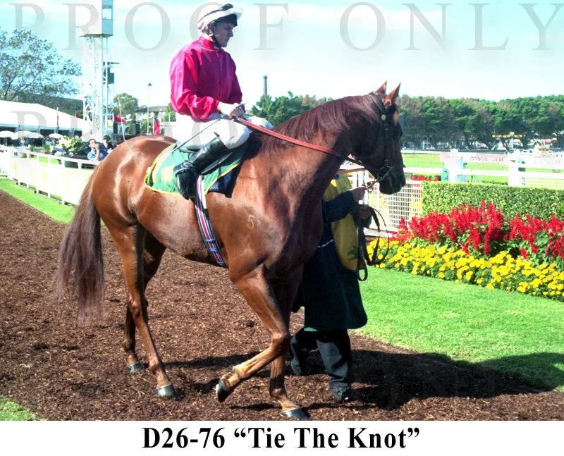 D26-76 Tie The Knot.jpg