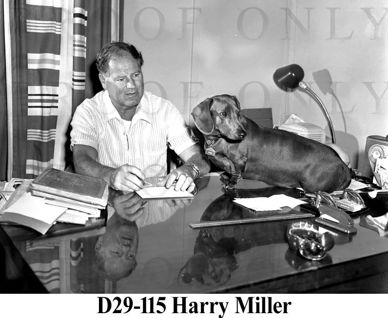 D29-115 Harry Miller.jpg