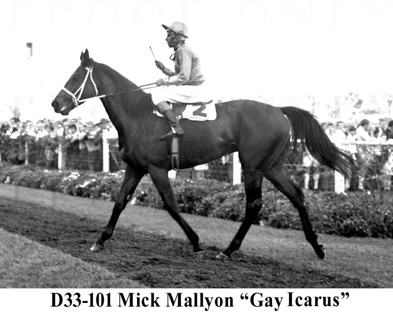 Gay Icarus & Mick Mallyon D33-101 copy.jpg