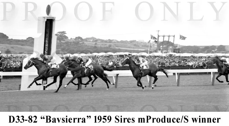 Bavsierra D33-82.jpg