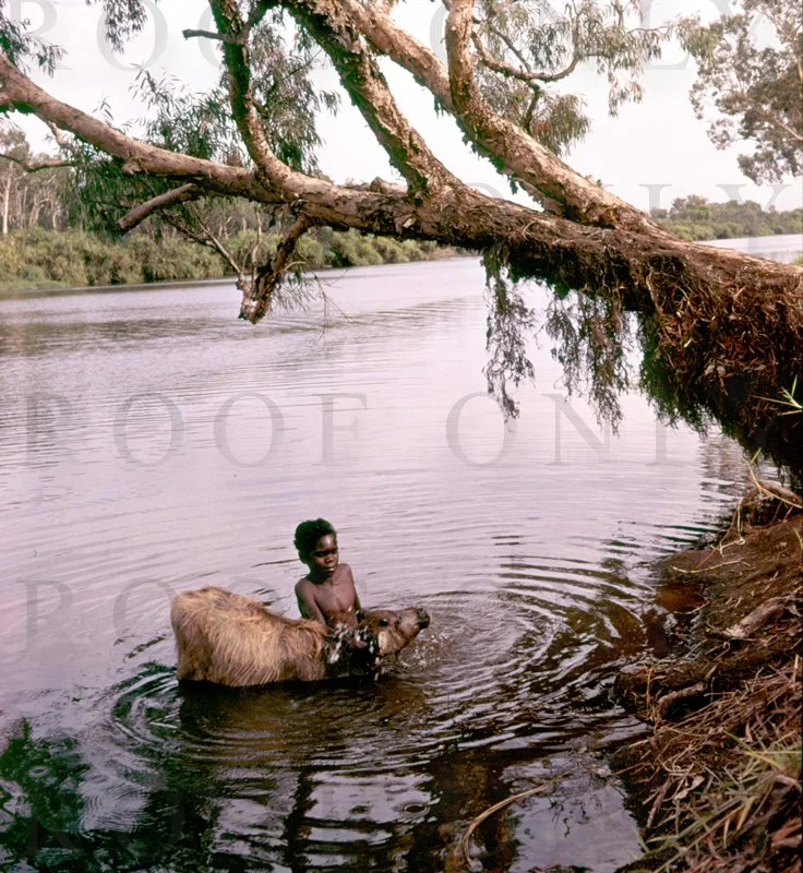 Aust; D17-91 Canoe Boy