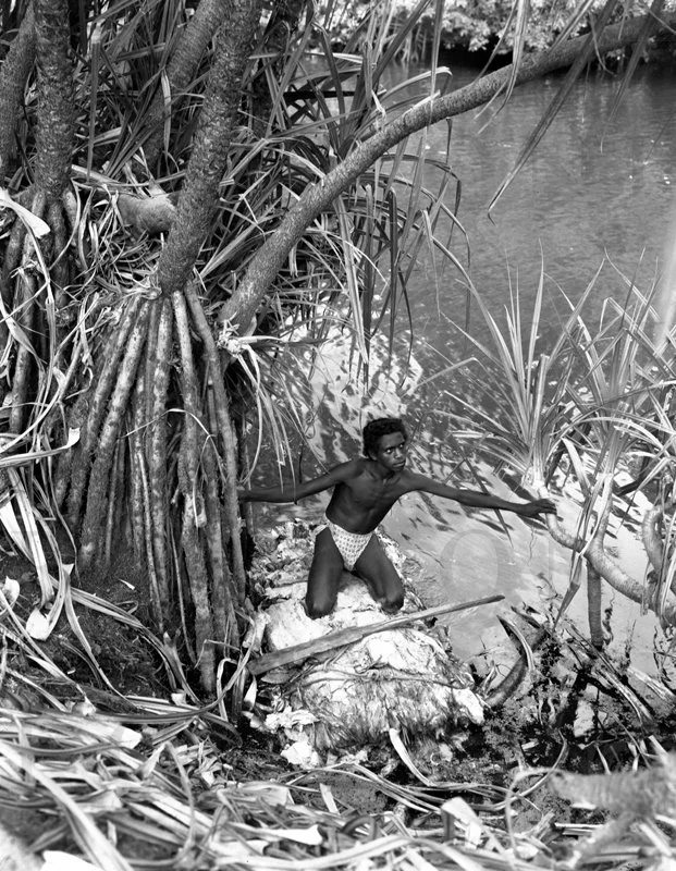 D27-23 Arnham Land The River