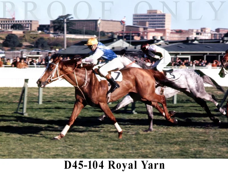 Royal Yarn D45-104.jpg