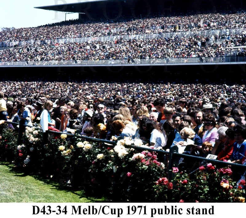 Cup Day Public Stand 1971 D43-34.jpg