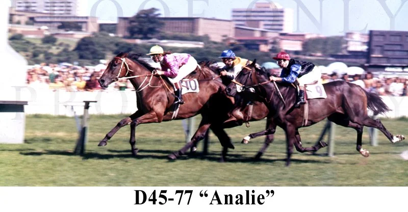 Analie D45-77.jpg