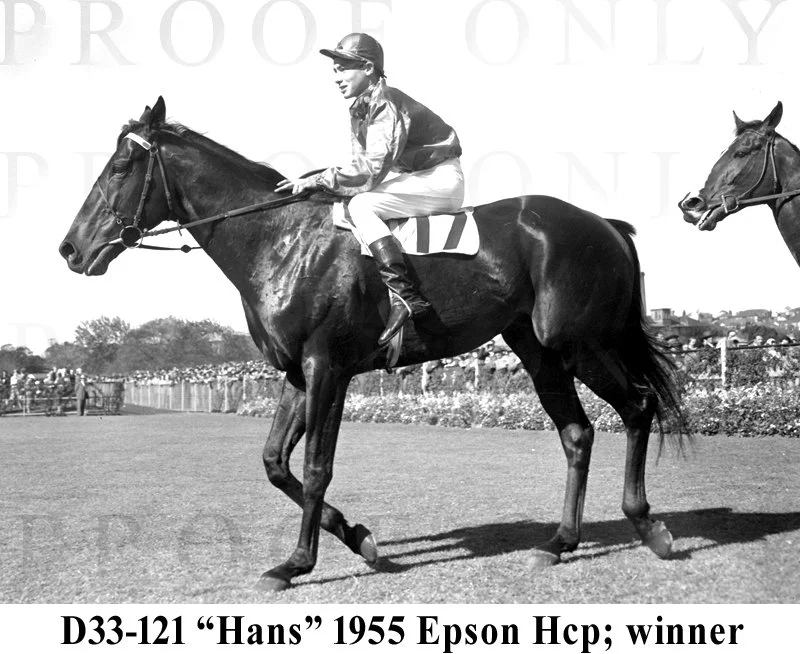 Epson Hcp 1955 winner Hans  D33-121.jpg