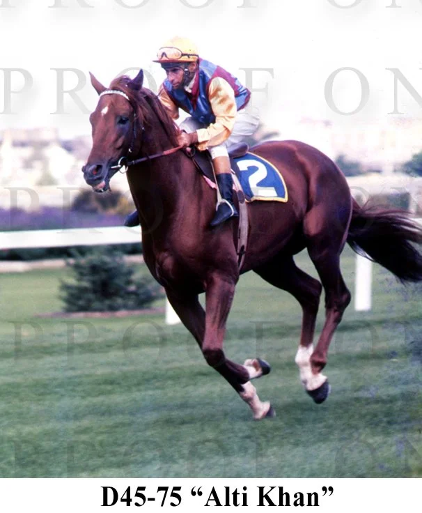 Alti Khan D45-75.jpg