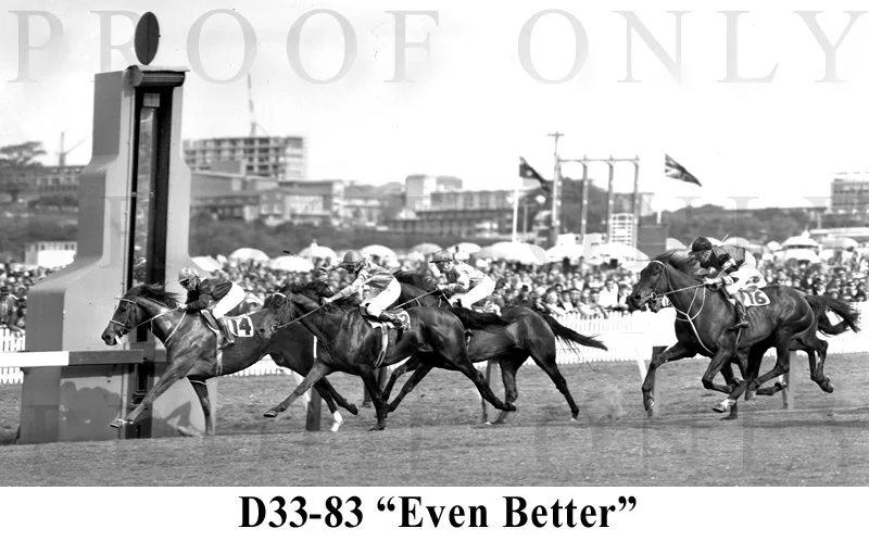 Even Better D33-83.jpg