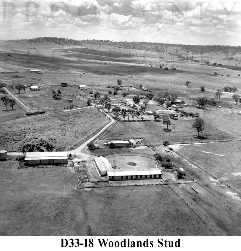 Woodlands Stud D33-18.jpg