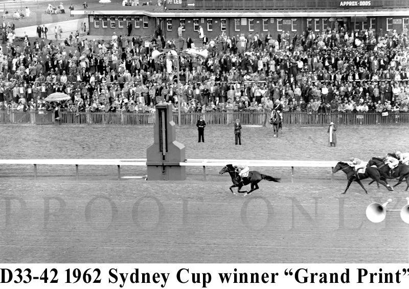 Sydney Cup 1962 Grand Print D33-42.jpg