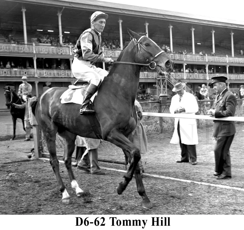 D6-62 Tommy Hill.jpg