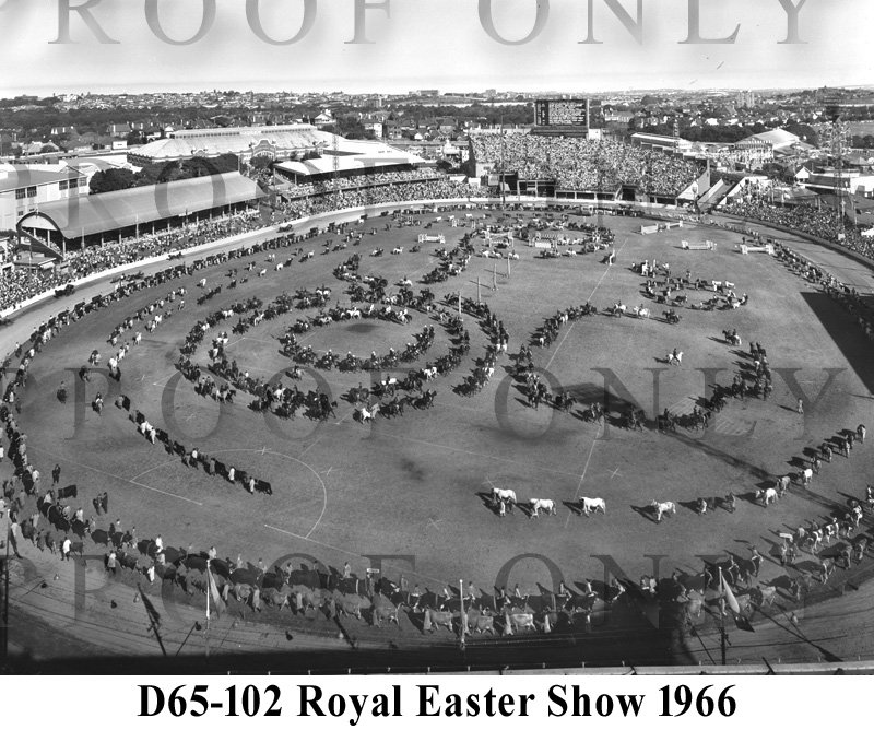 Trade Royal Easter Show 1966 D65-102.jpg