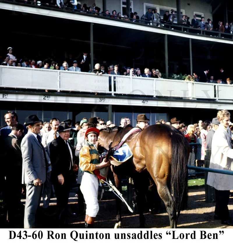 R Quinton unsaddles Lord Ben D43-60.jpg
