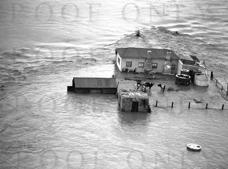 D16-9 Maitland Flood 1955