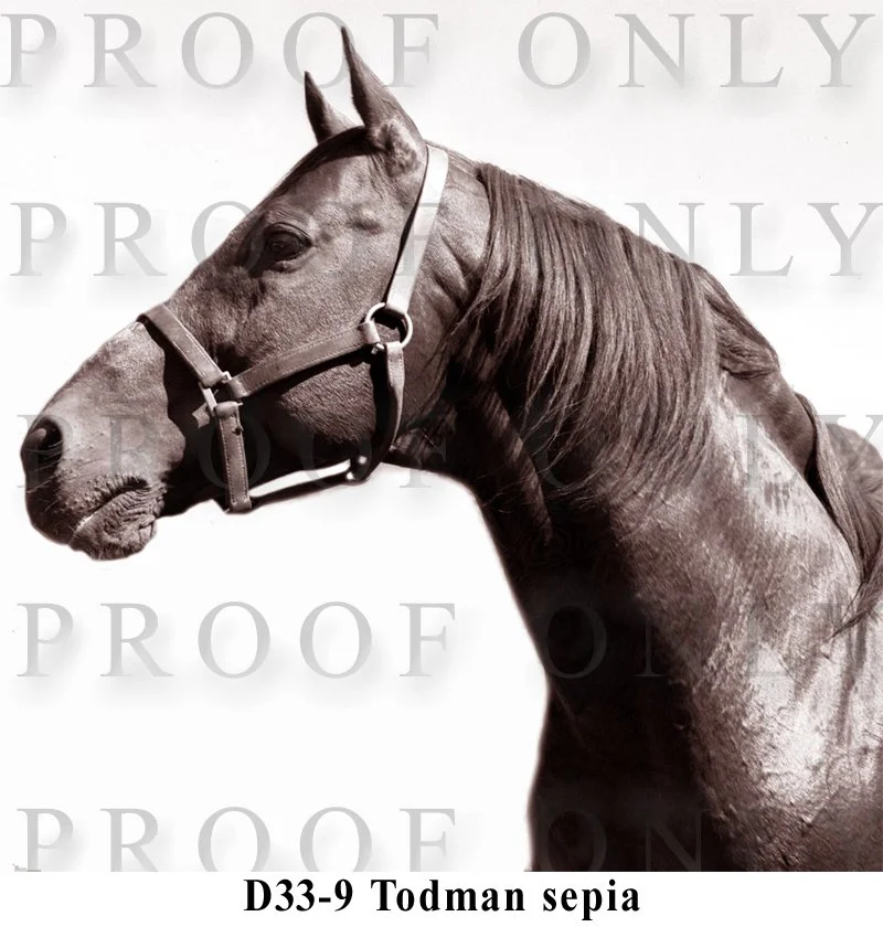 Todman D33-9 sepia.jpg