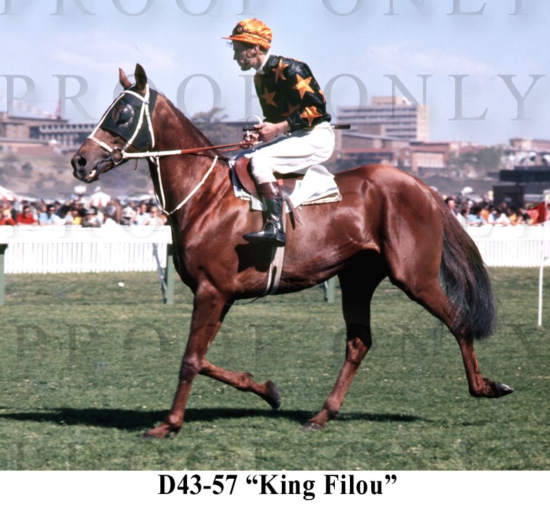 King Filou D43-57.jpg