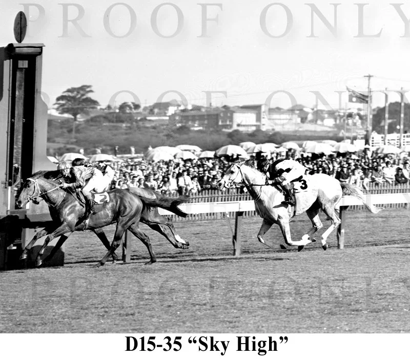 D15- 35 Sky High.jpg