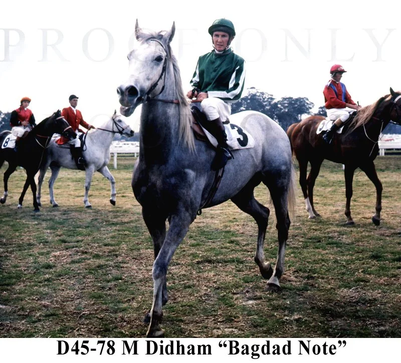 Bagdad Note D45-78.jpg