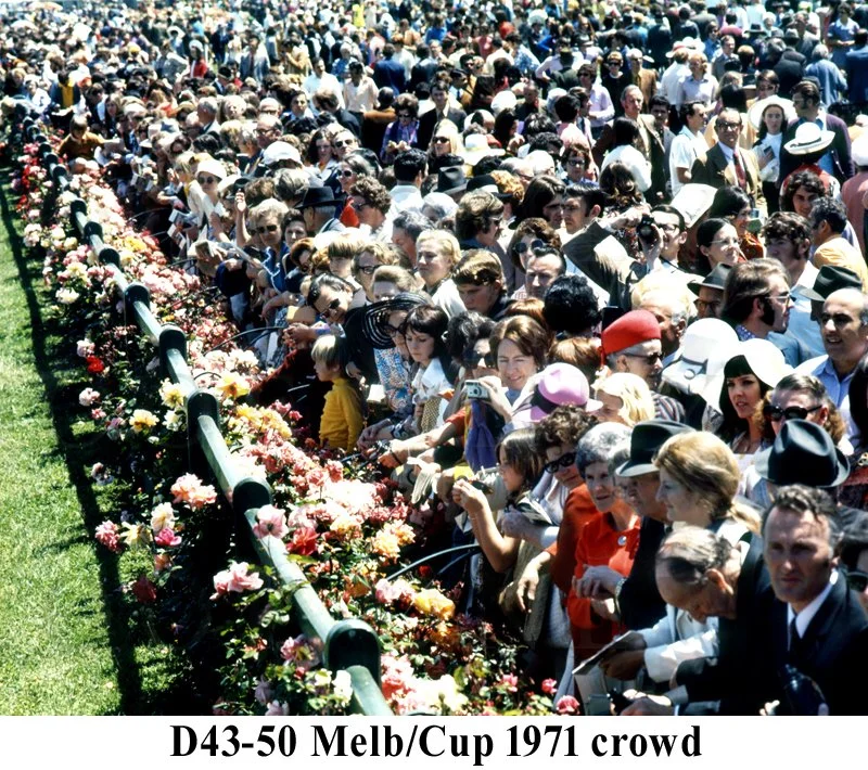 Cup Day Crowd D43-50.jpg
