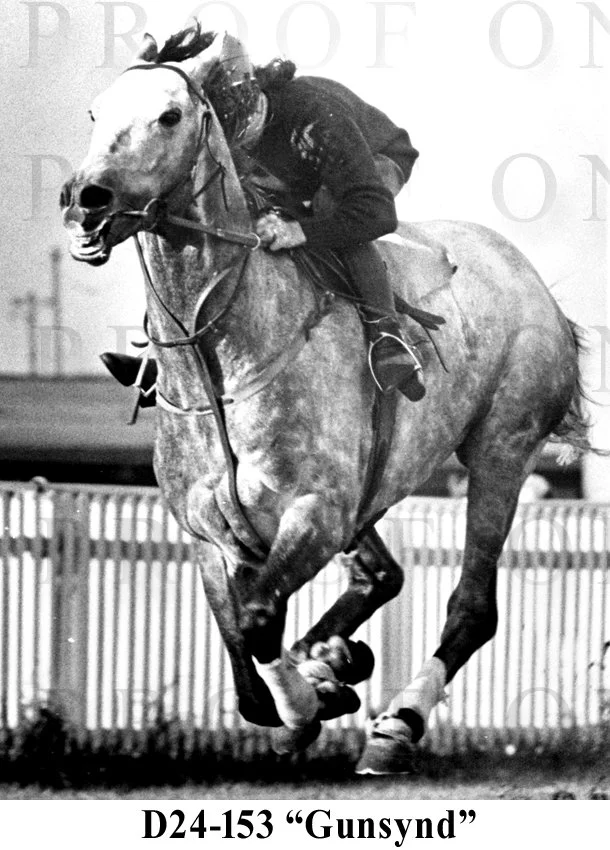 D24-153 Gunsynd.jpg