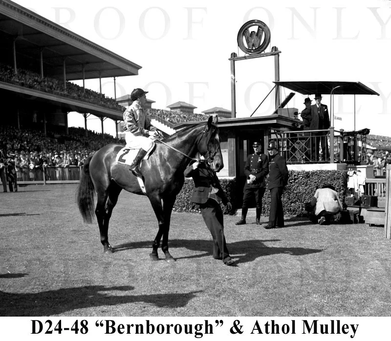 D24-48 Bernborough.jpg