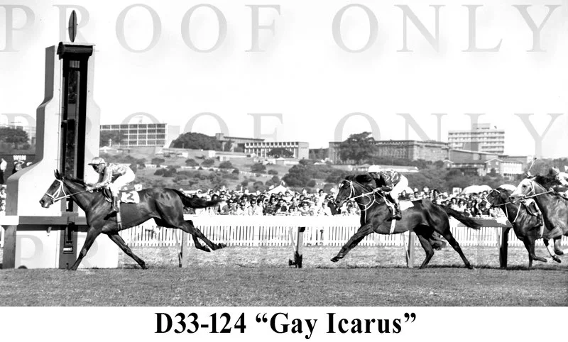 Gay Icarus  D33-124.jpg