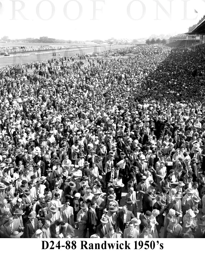 D24-88 Randwick 1950's.jpg