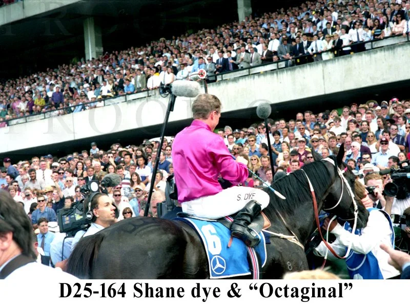 D25-164 Octaginal & Dye.jpg