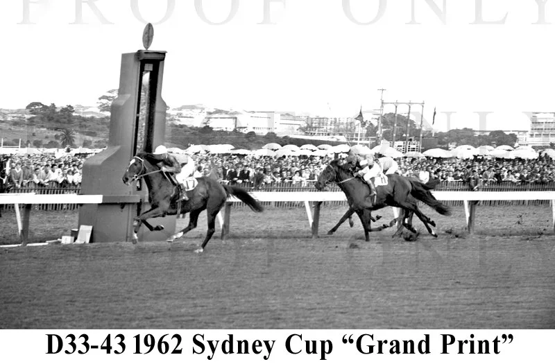 Sydney Cup 1962 Grand Print D33-43.jpg