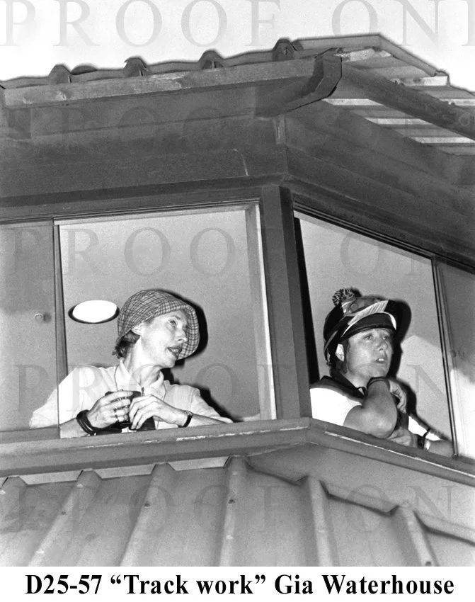 D25-57 Track Work Gai.jpg
