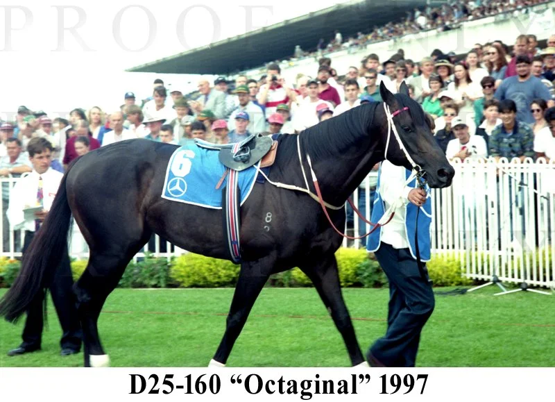 D25-160 Octaginal 1997.jpg