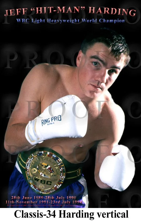 D29-12 Jeff Harding Layout copy.jpg