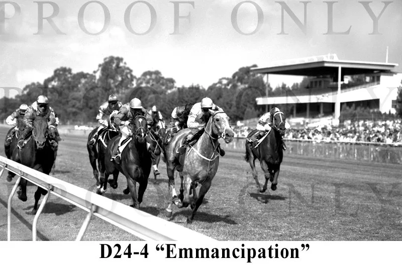 D24-4 Emmancipation.jpg