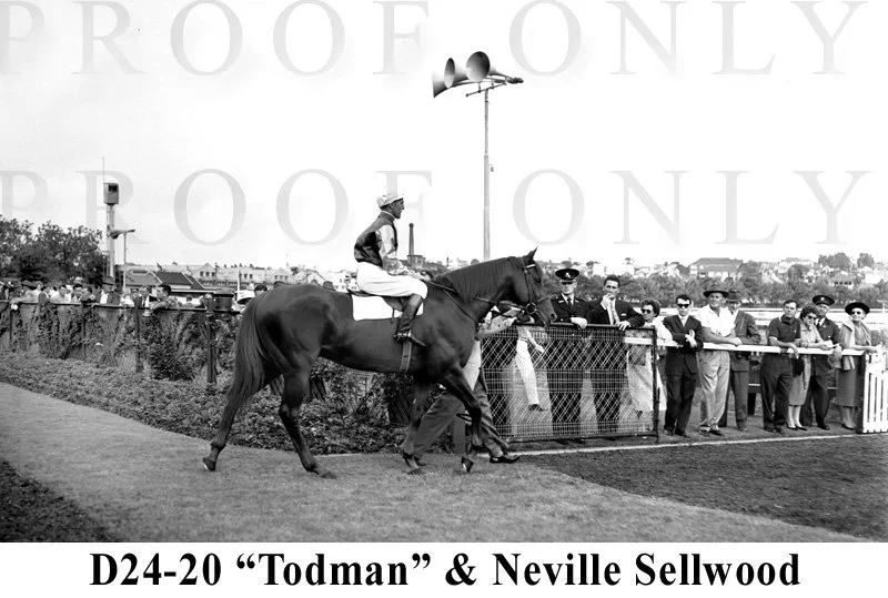 D24-20 Todman copy.jpg