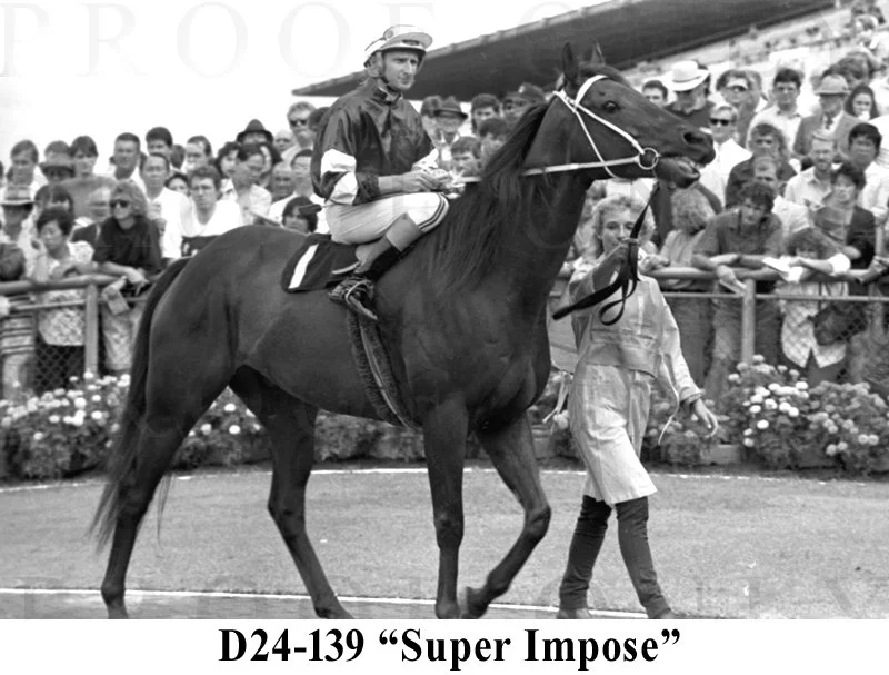 D24-139 Super Impose.jpg