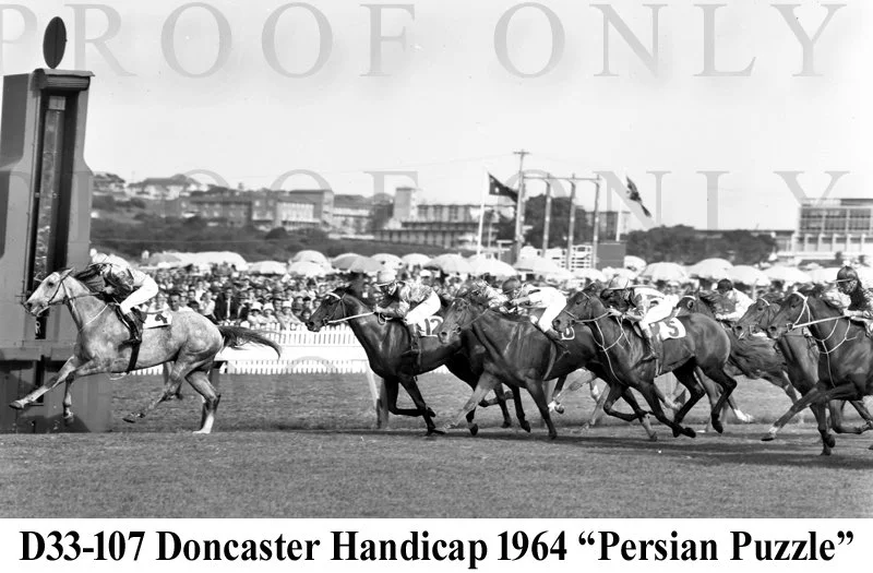 Persian Puzzle D33-107.jpg