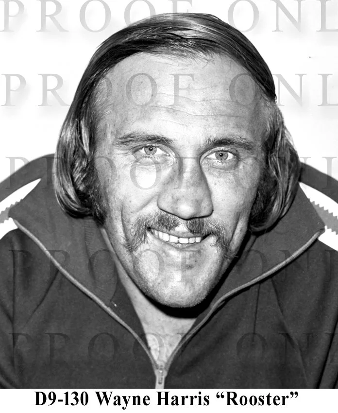 D9-130 Rooster 1974 Harris.jpg