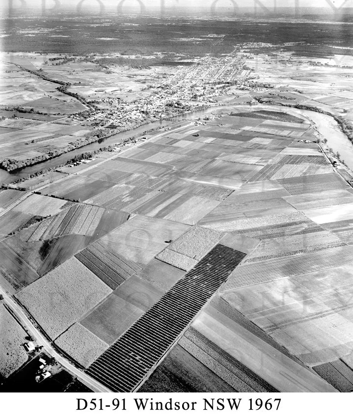 D51-91 Windsor 1967.jpg