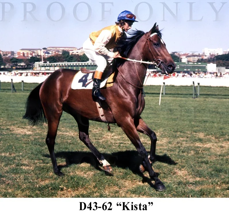 Kista  D43-62.jpg