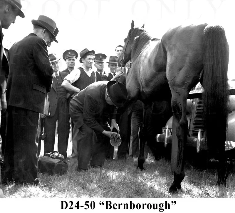 D24-50 Bernborough.jpg
